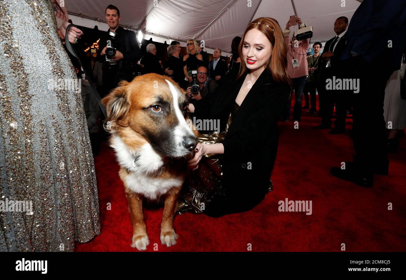 Cast Member Karen Gillan Pets A Dog Named Buck At The Premiere Of The Call Of The Wild In Los Angeles California U S February 13 Reuters Mario Anzuoni Stock Photo Alamy Cast Member Karen Gillan Pets A Dog Named Buck At The Premiere Of The Call Of The Wild In Los Angeles California U S February 13 Reuters Mario Anzuoni Stock Photo Alamy