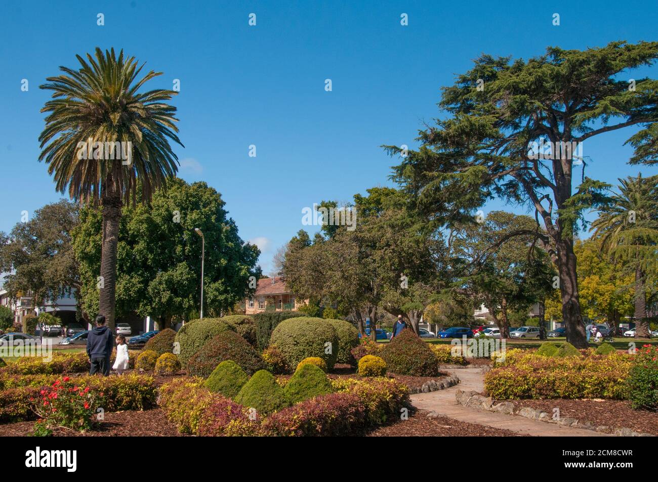 Laid out in 1909, Elsternwick's Hopetoun Gardens are home to several significant trees. Melbourne, Australia. Stock Photo