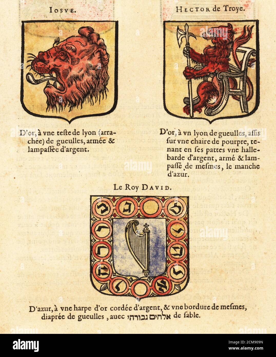 Coats of arms of the Nine Worthies: Joshua with lion’s head, Hector of Troy with lion in a chair, and King David with harp and Hebrew characters. JOSUE, HECTOR de Troye, Le Roy DAVID. Handcoloured woodblock engraving from Hierosme de Bara’s Le Blason des Armoiries, Chez Rolet Boutonne, Paris, 1628 Stock Photo