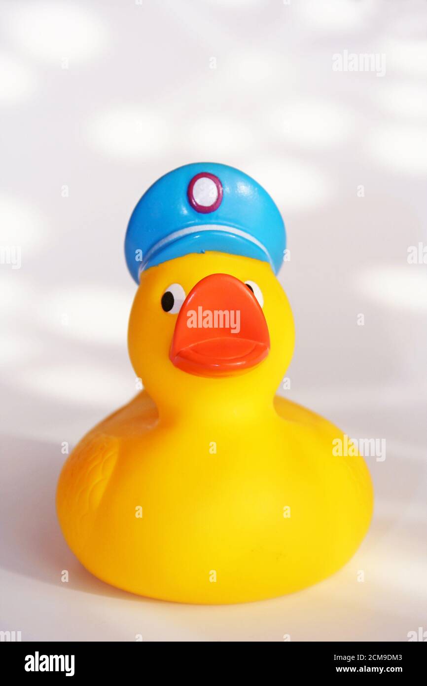 rubber duck Stock Photo