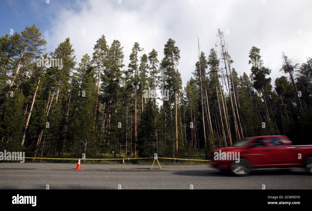 elephant back loop trail
