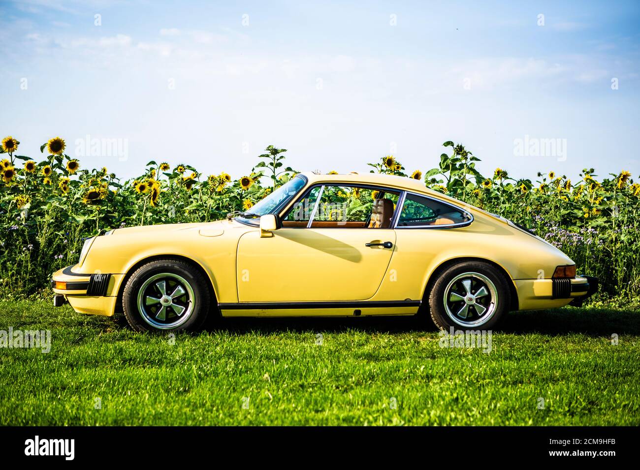 Porsche 911 2,7 S Baujahr 1977 gelb vor einem Sonnenblumenfeld Stock Photo  - Alamy