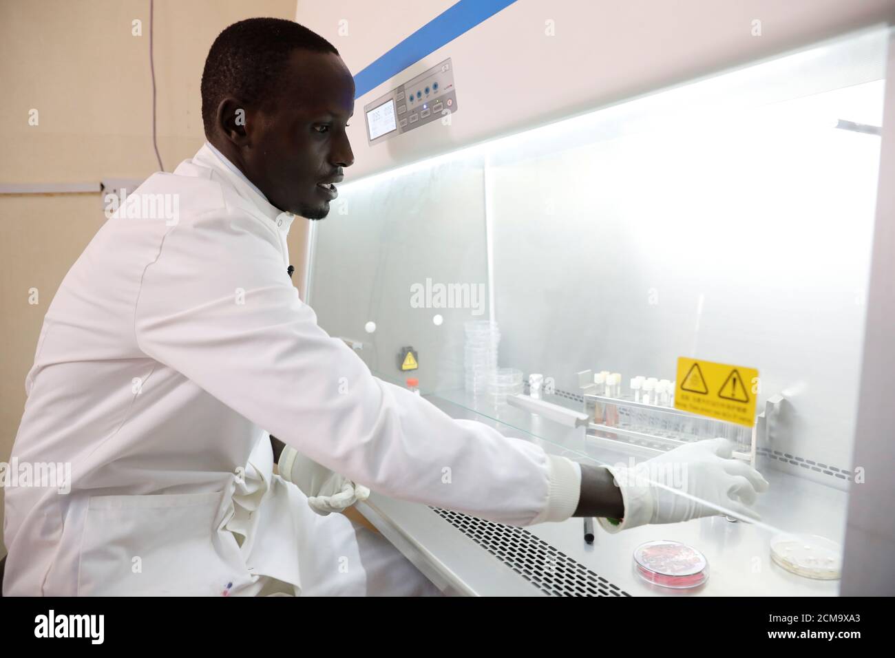 Phd In Zoology High Resolution Stock Photography and Images Alamy