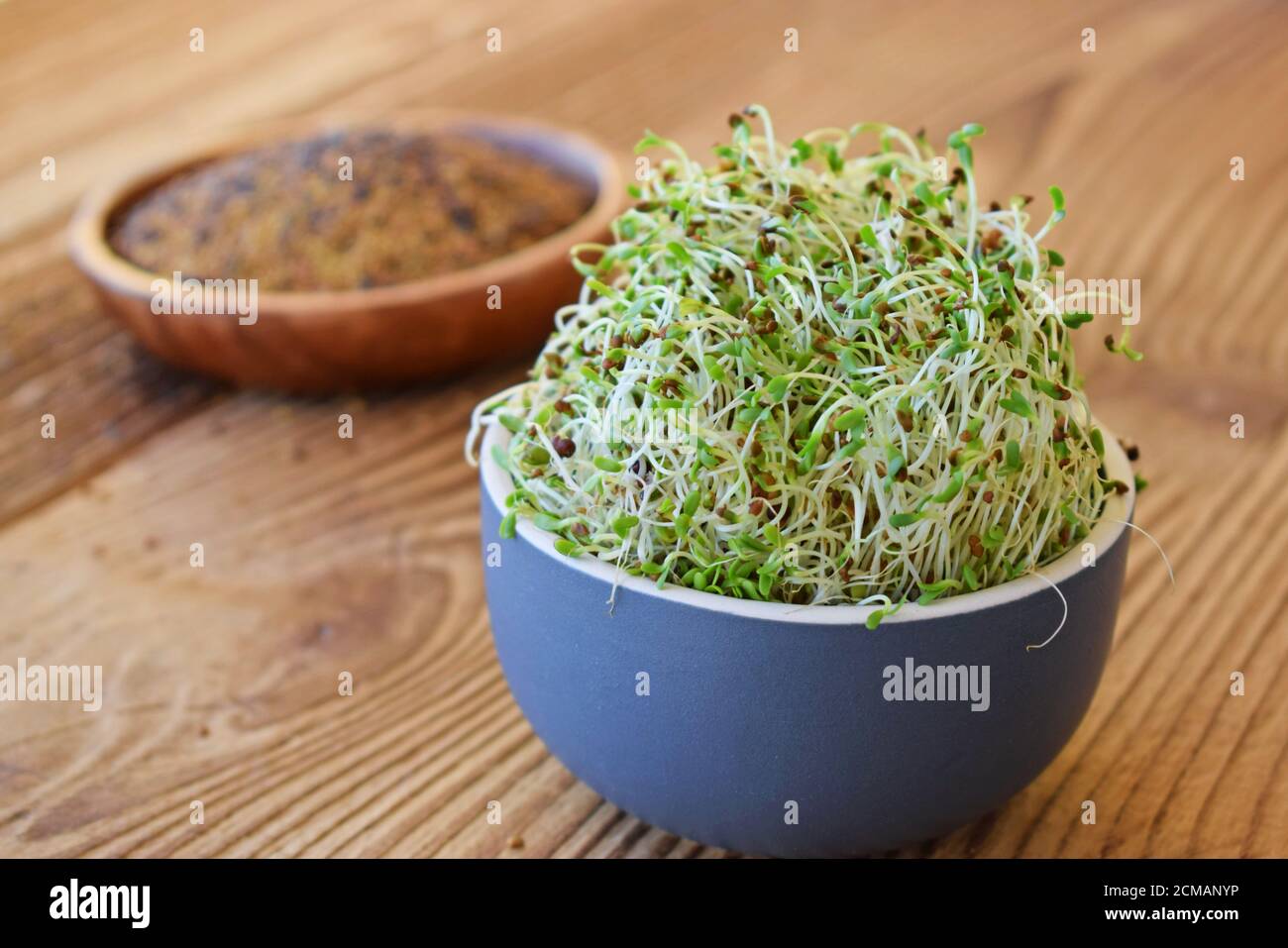 Sprouted alfalfa seeds in a bowl on wooden background Focus on sprouts in the front. Stock Photo