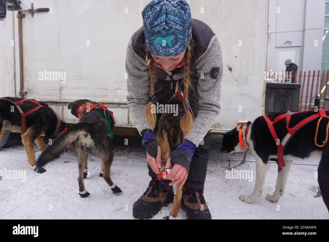 Dog booties hires stock photography and images Alamy