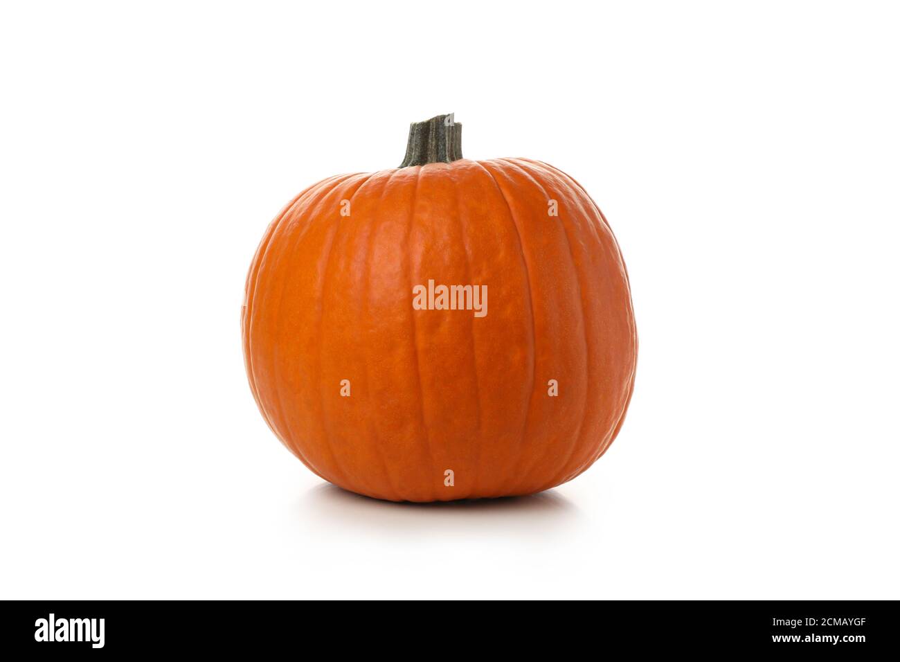 One fresh pumpkin isolated on white background Stock Photo - Alamy