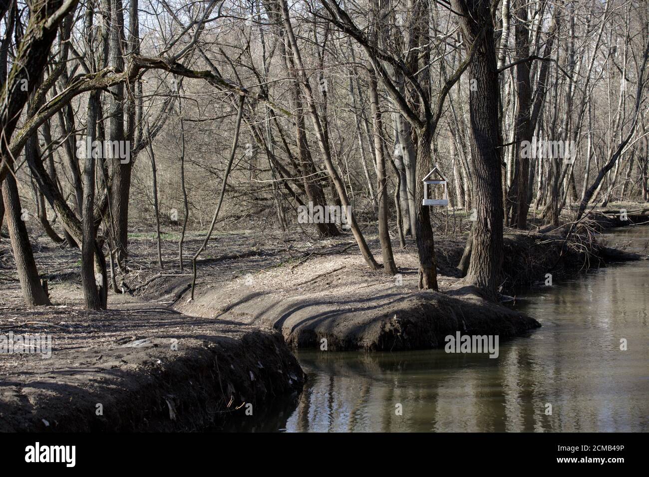 Trees without leaves on the river Bank. Sunny day in early spring. A wooden bird feeder hangs from a tree branch Stock Photo