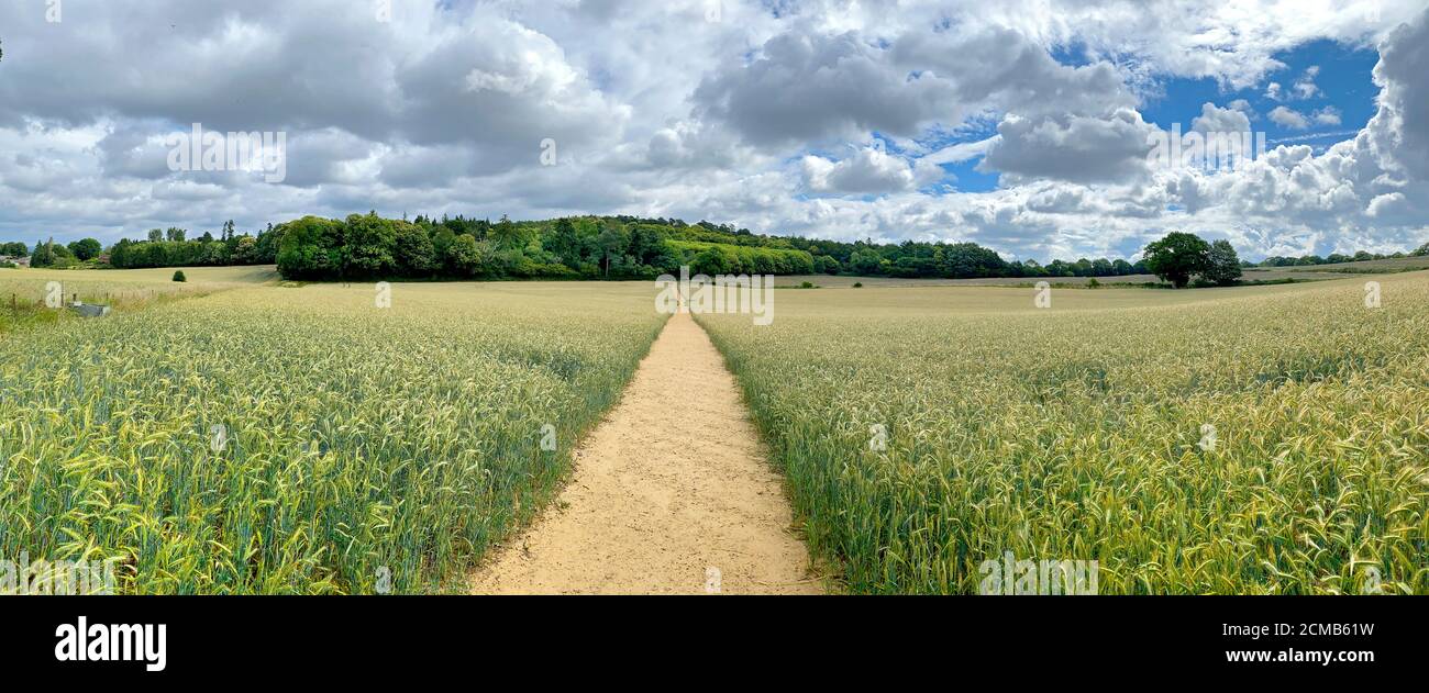 A country path leads through fields up towards the hill of Hydon's Ball / Octavia Hill near Hambledon in Surrey. Stock Photo