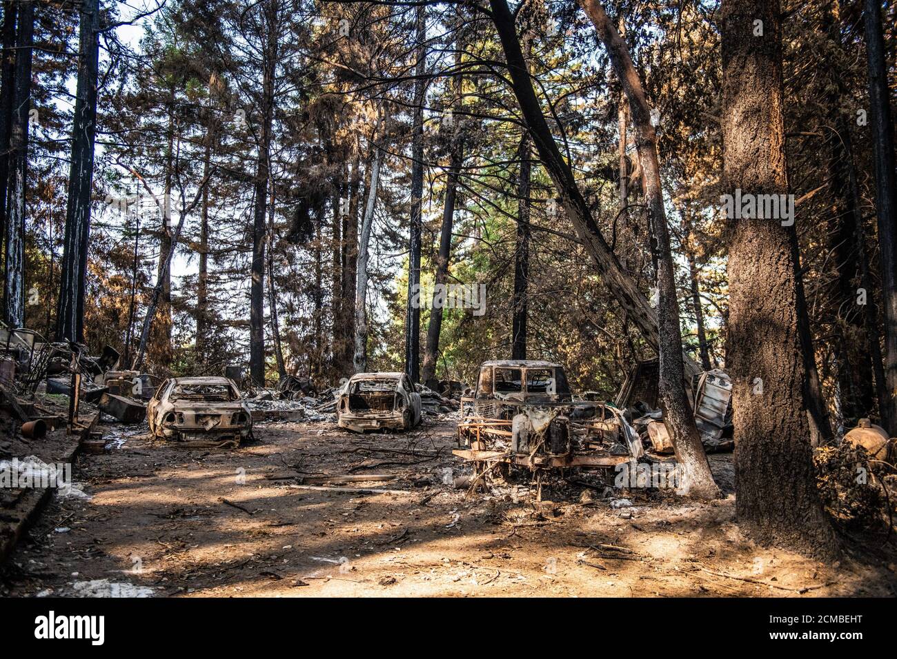 Ben Lomond, California, USA. 16th Sep, 2020. A general view burned out