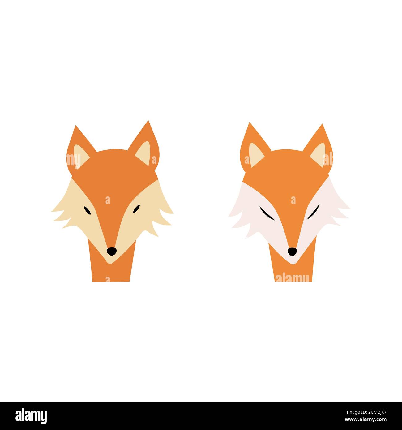 Cute cartoon set of foxes. Red fox. Cartoon animal character design. Flat vector illustration isolated on a white background. Stock Photo