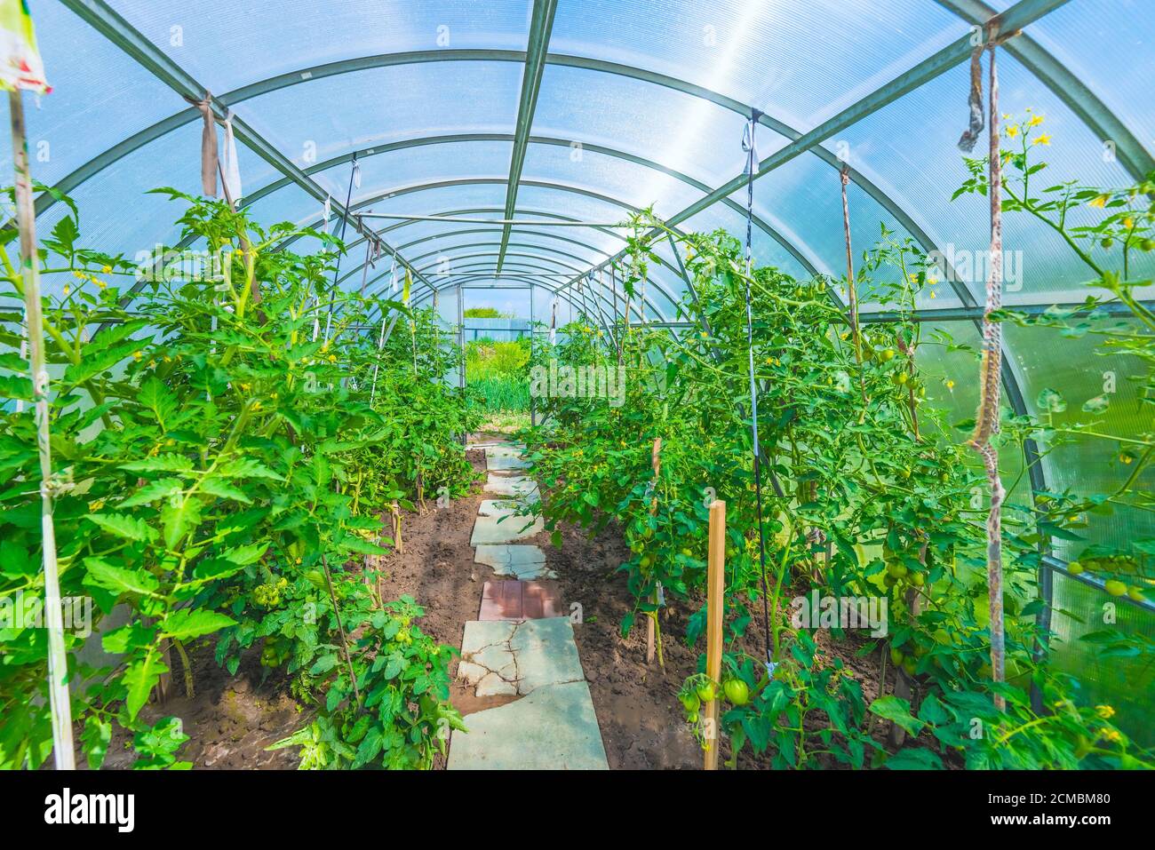 arched greenhouse Stock Photo