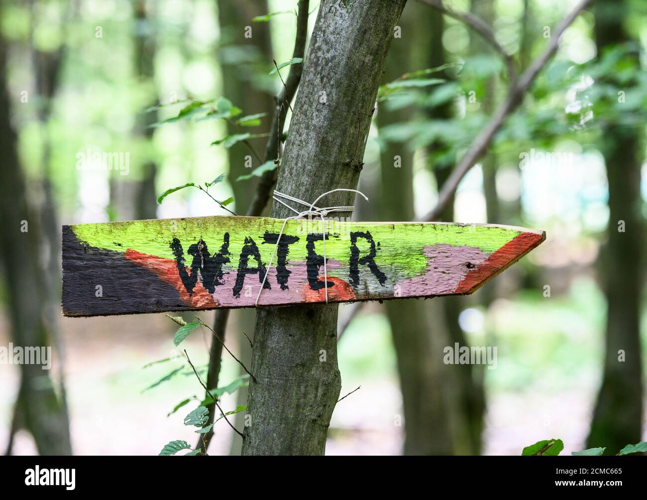 15 September 2020, Hessen, Homberg (Ohm): A wooden signpost with the inscription 'Water' is attached to a tree in the occupied part of the forest. Activists are resisting the continued construction of the A49 motorway in Dannenröder Wald. Photo: Andreas Arnold/dpa Stock Photo