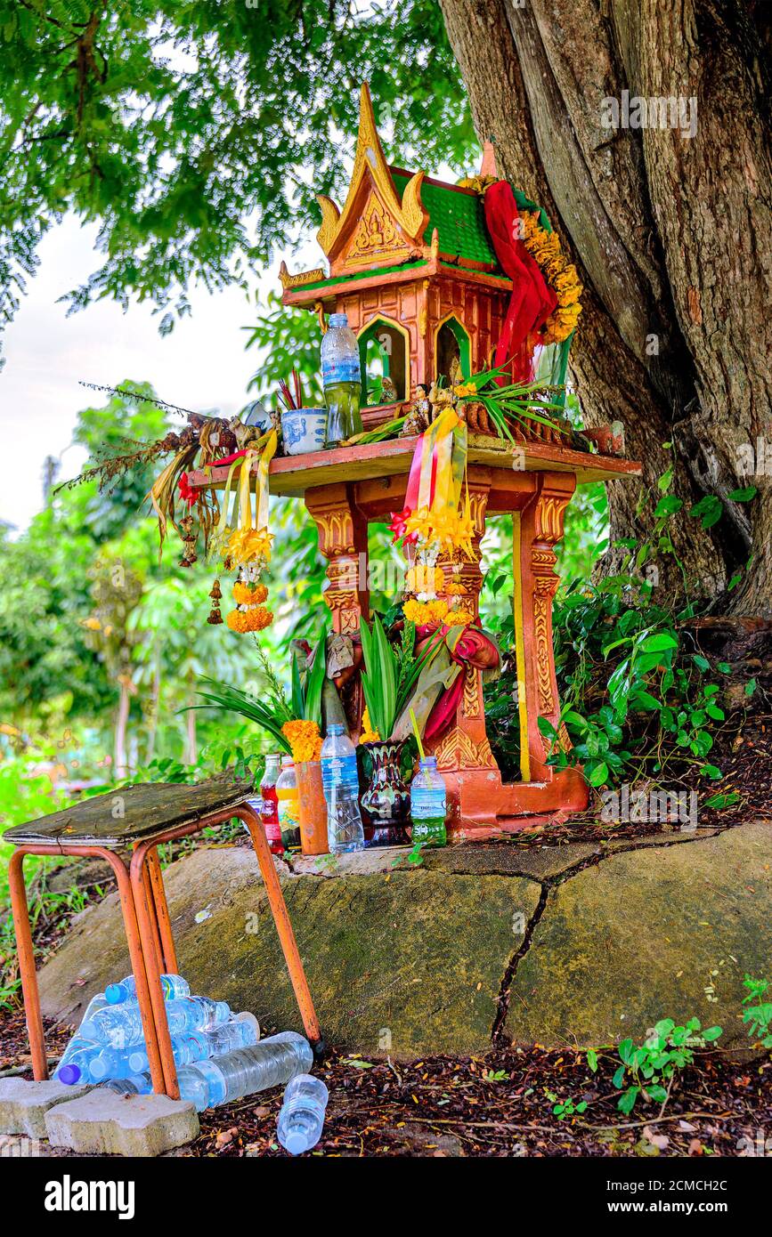 A spirit house on earth mound with a huge tree stands behind