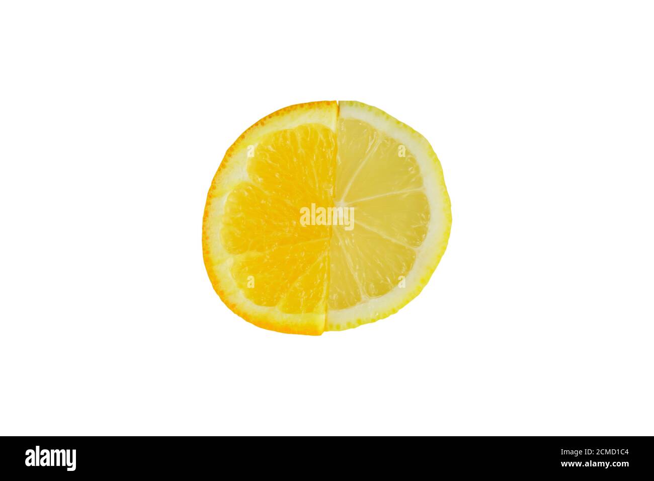 citrus slice, oranges and lemons isolated on white background, clipping path Stock Photo