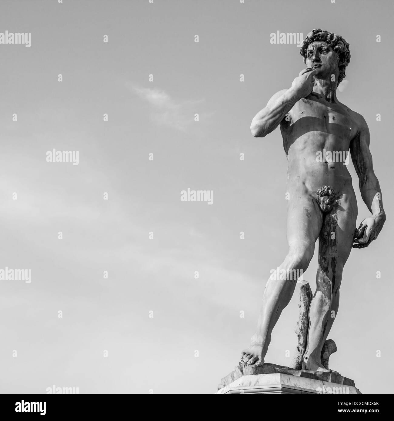 David michelangelo head face hires stock photography and images Alamy