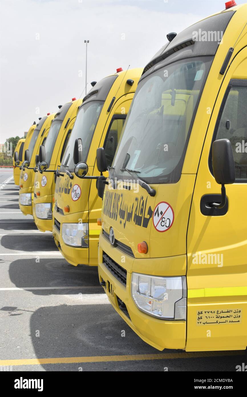 A row of yellow school buses parked in a car park in Dubai waiting for