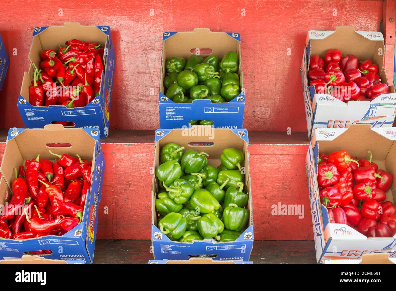 Red and green peppers Stock Photo