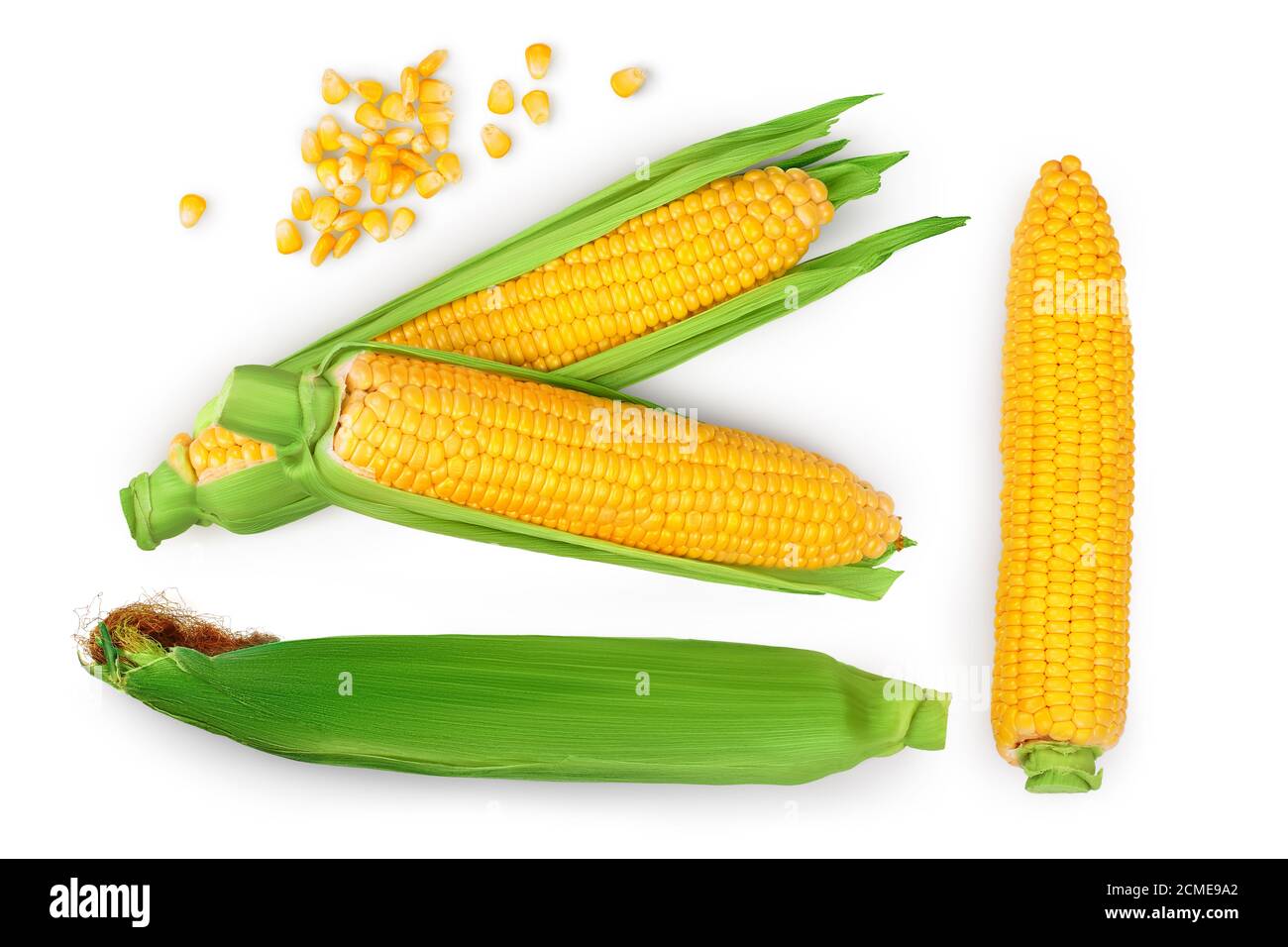 ear of corn isolated on a white background. Clipping path. Top view ...