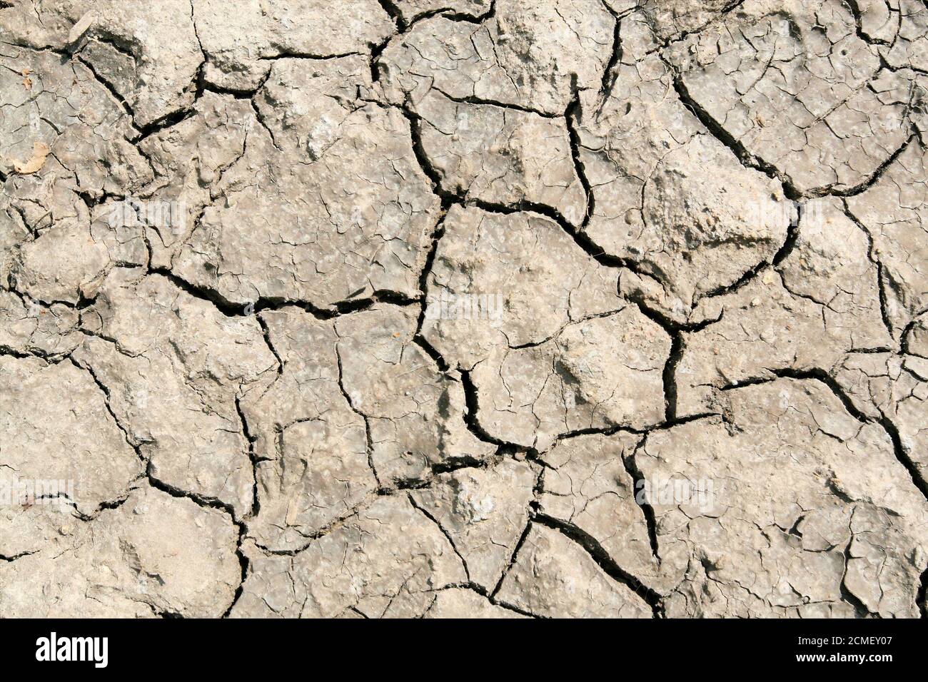 The surface of pedestrian path Stock Photo - Alamy