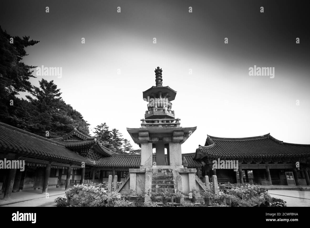 black / white, beautiful scenery of stone pagoda in Bulguksa Temple