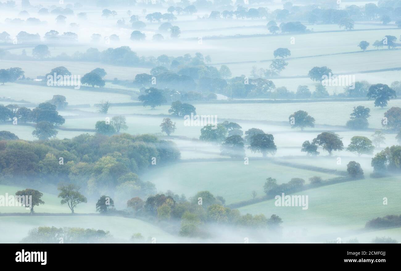 Misty dawn over the Marshwood Vale from Pilsdon Pen, Dorset, England, UK Stock Photo