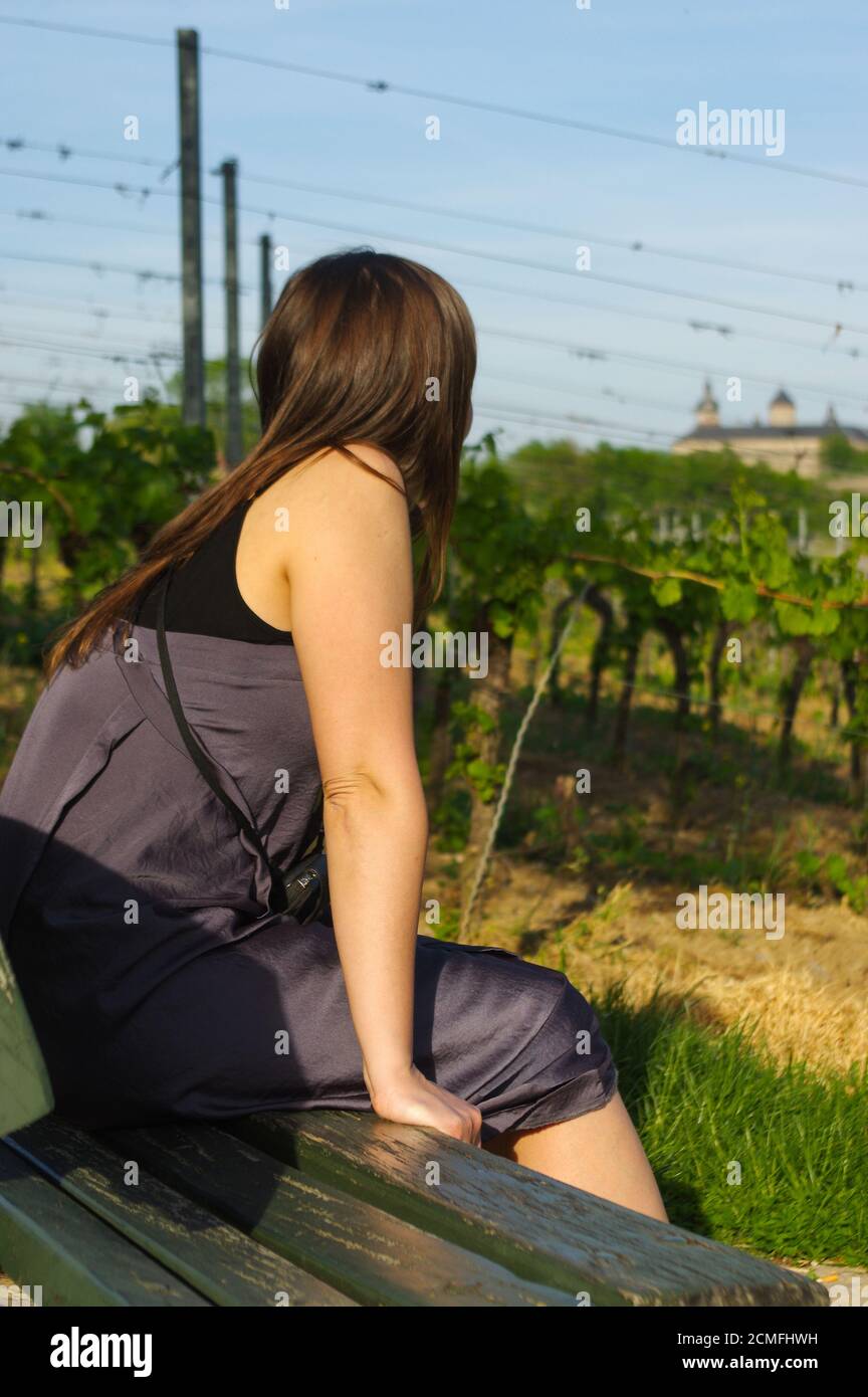 Happy girl on bench relaxing with a view to grape field landcape Stock Photo