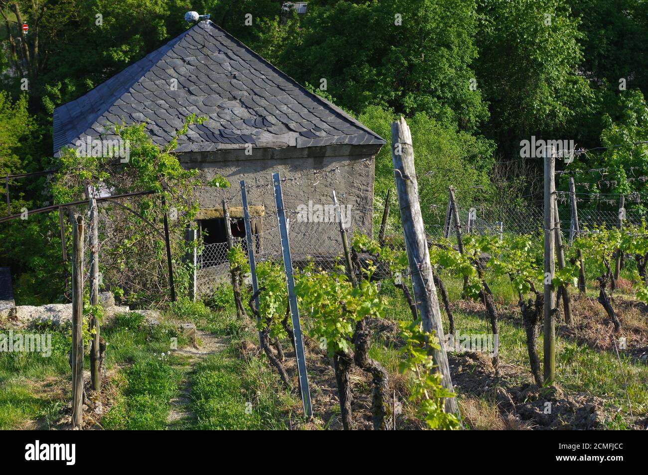 Beautiful old Wine house surrounded with vineyard hills. Grape fields near Wuerzburg, Germany Stock Photo