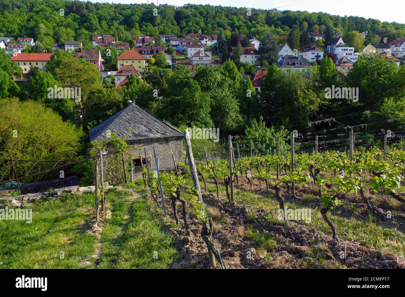 Beautiful old Wine house surrounded with vineyard hills. Grape fields near Wuerzburg, Germany Stock Photo
