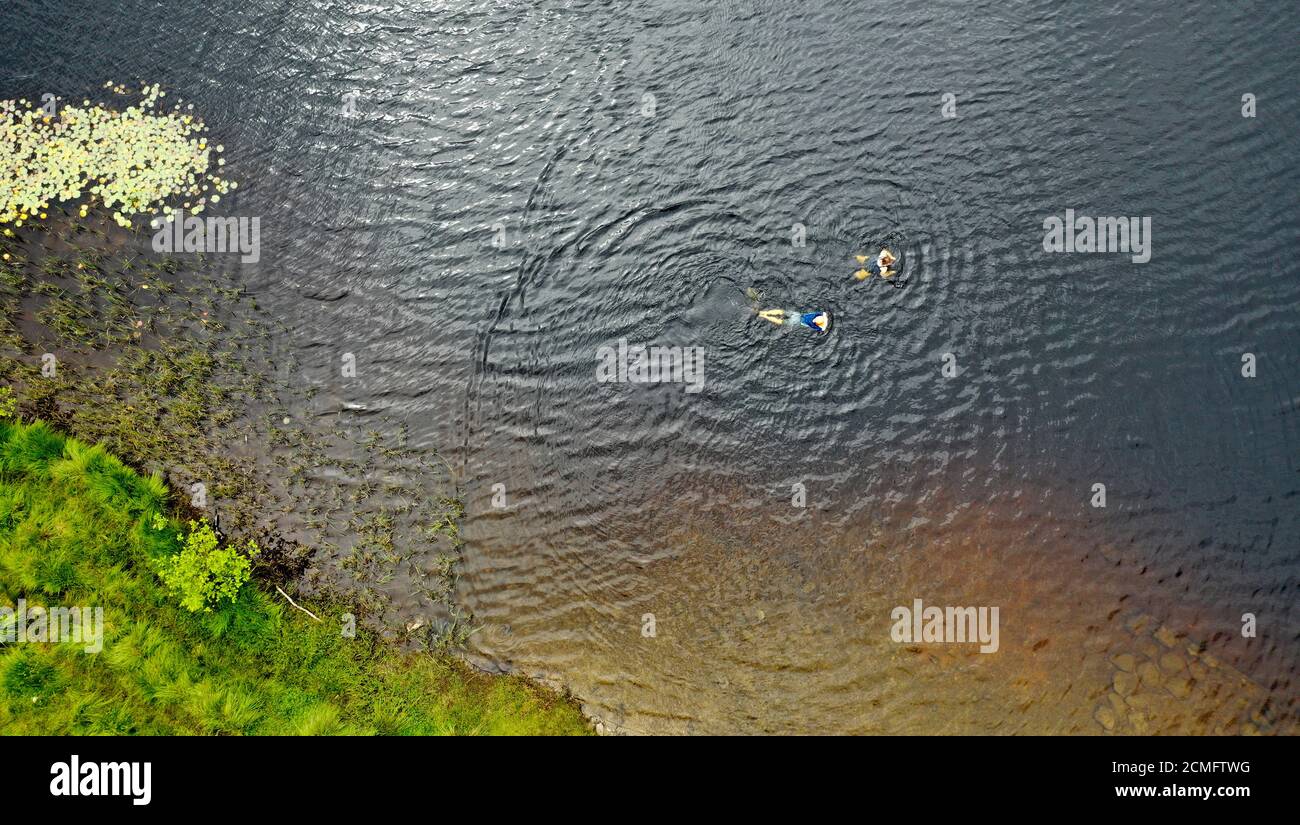 Aerial drone view of wild water swimmer Loch Chon Trossachs Scotland Stock Photo