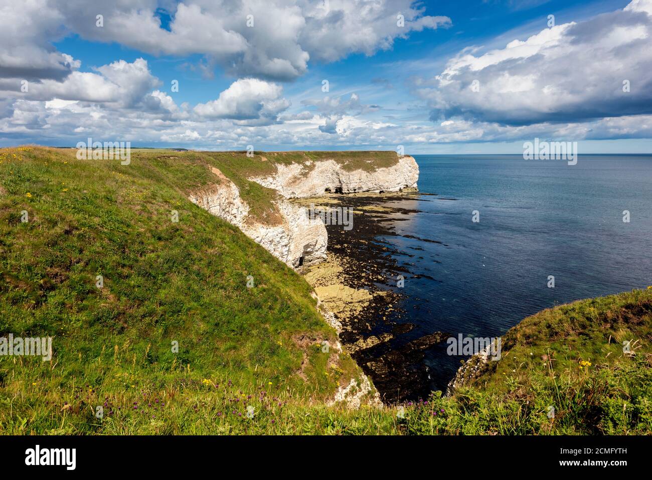 Flamborough head Heritage coastline. Yorkshire,England, UK Stock Photo