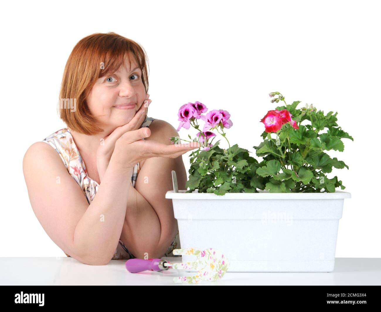 Portrait of a middle-aged woman showing a houseplant. Stock Photo