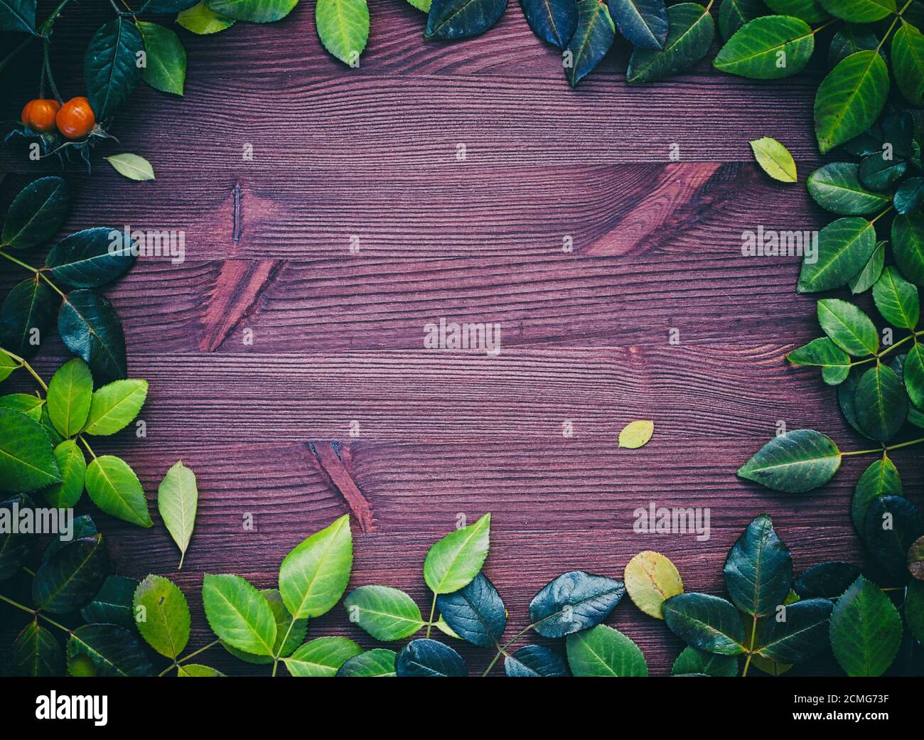 Perimeter Of Wood High Resolution Stock Photography and Images - Alamy