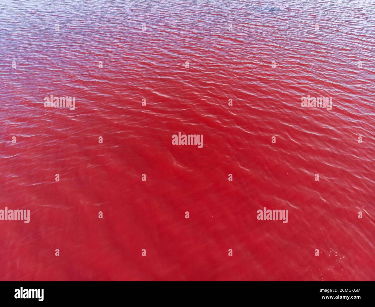 Aerial View of red Lake Surface in Ukraine Odessa, Kuyalnik liman red