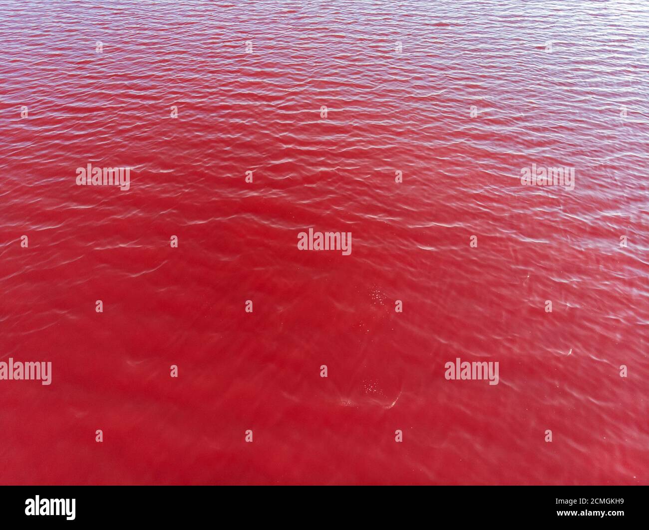 Aerial View of red Lake Surface in Ukraine Odessa, Kuyalnik liman red water from above Stock