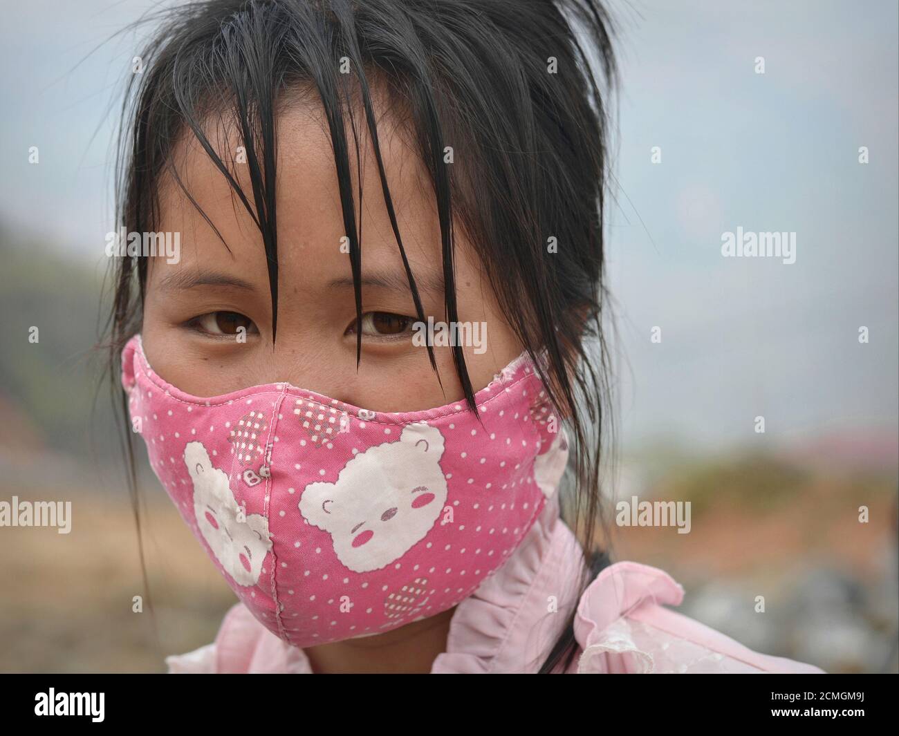 Download Vietnamese Mask High Resolution Stock Photography And Images Alamy PSD Mockup Templates
