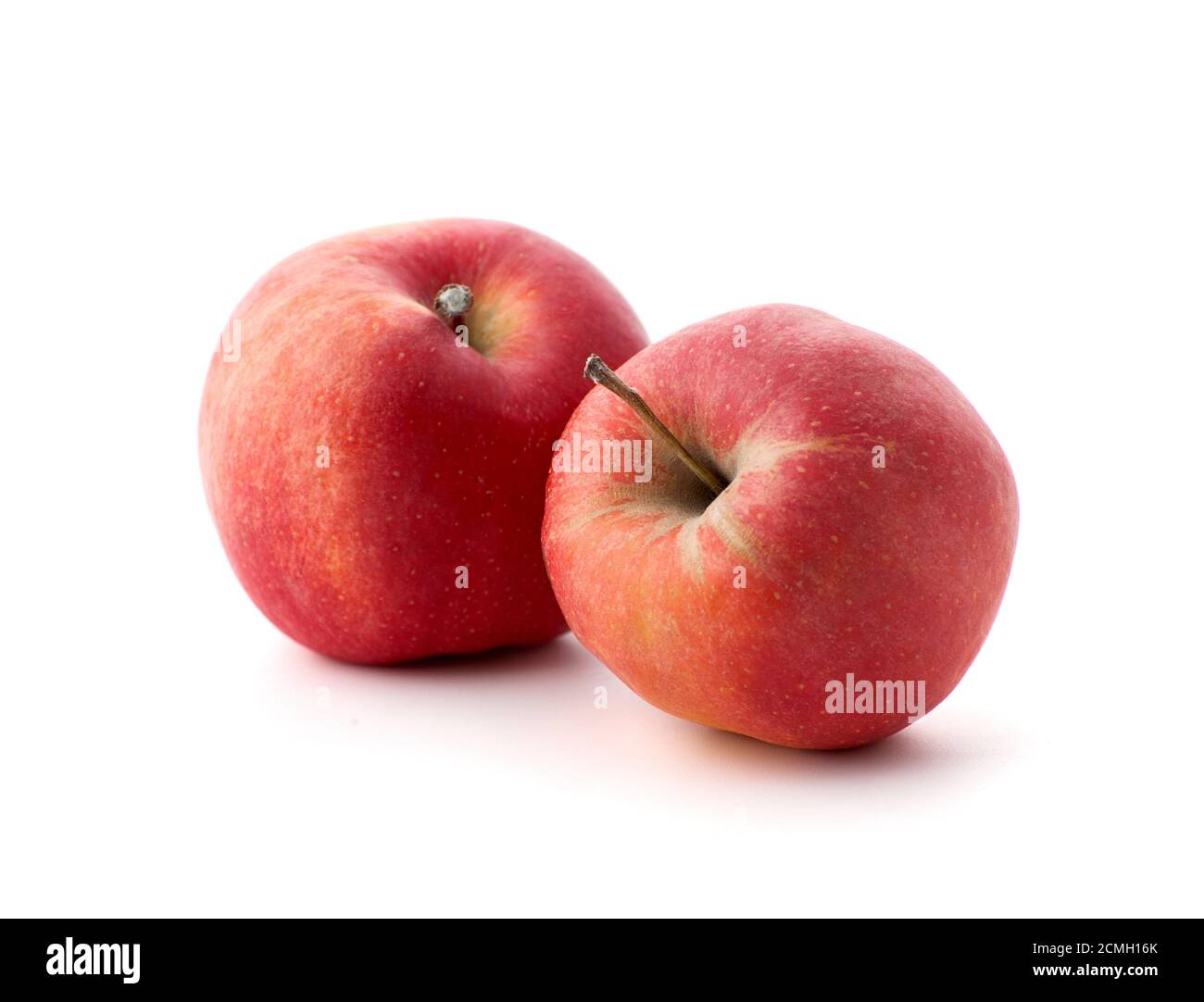 Two Riped Apple Close up ripe apples Cut Out Stock Images & Pictures - Alamy