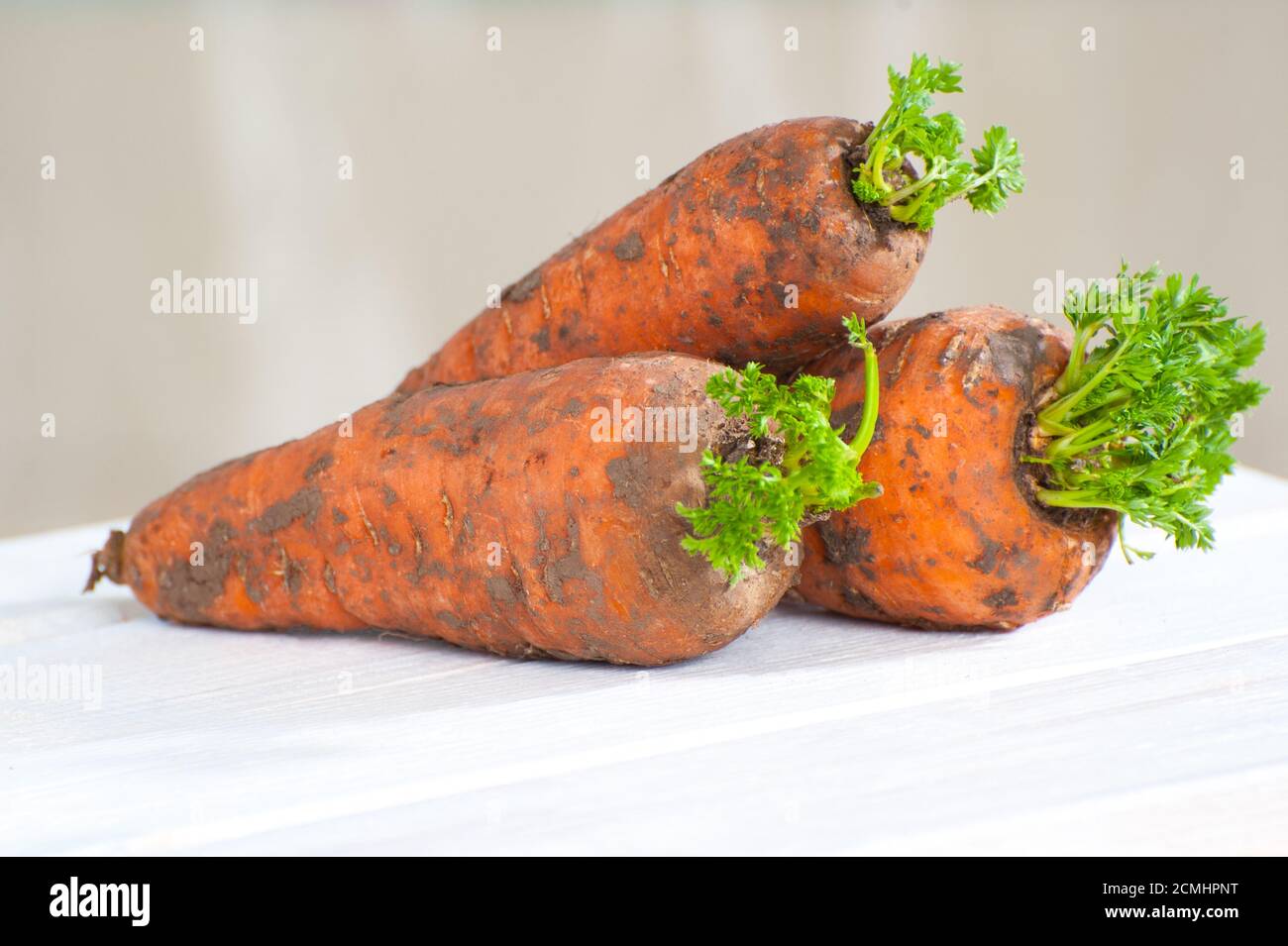 Three young freshly-carrots with a tops on a wooden table close-up. Stock Photo