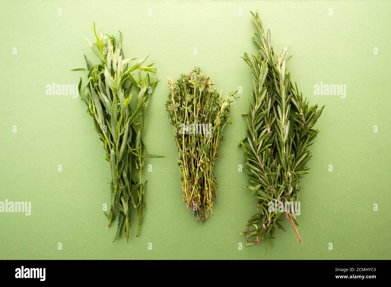 Tarragon, thyme and rosemary on a green pastel background. Stock Photo