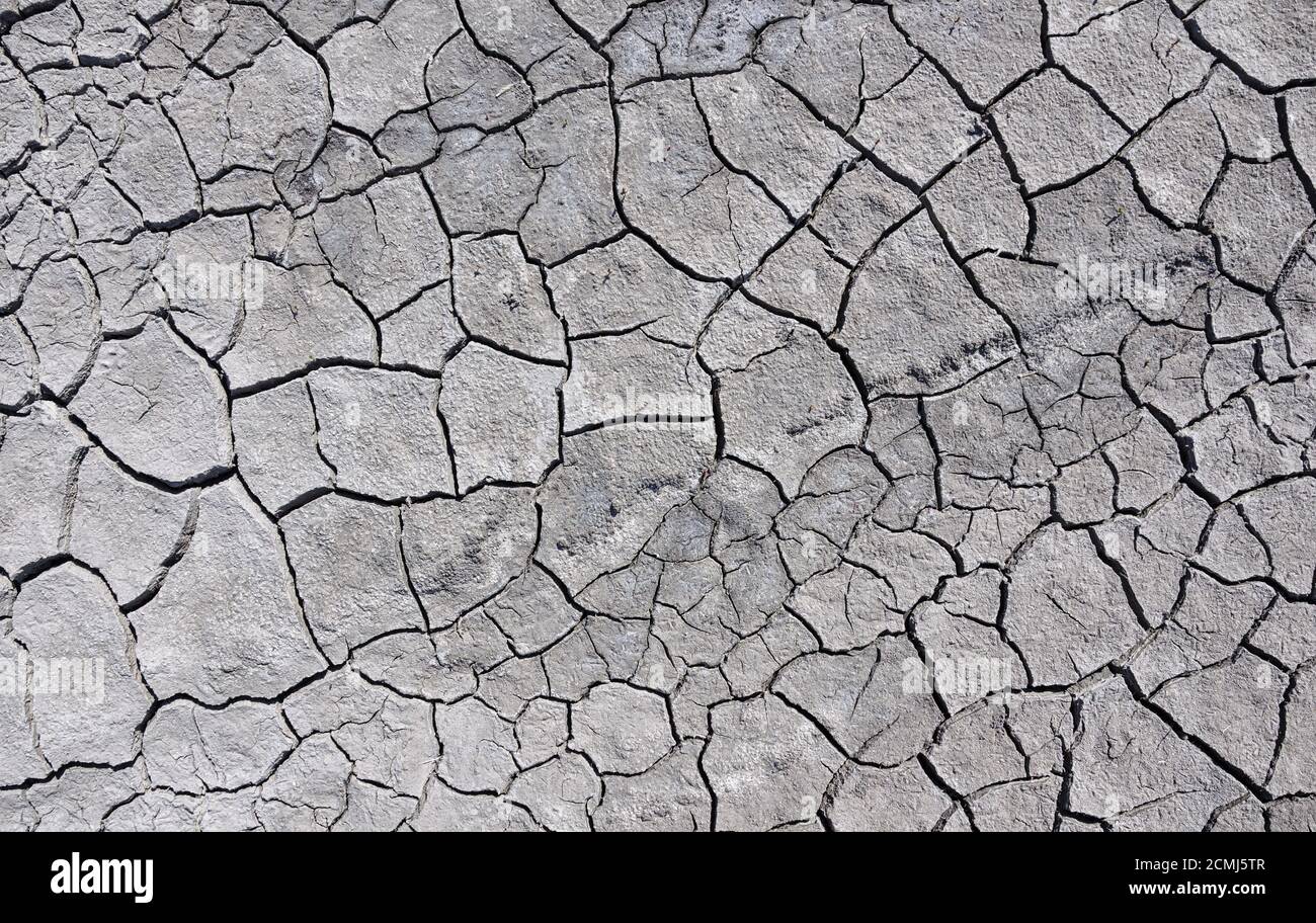 Cracked earth on a summer day, top view Stock Photo