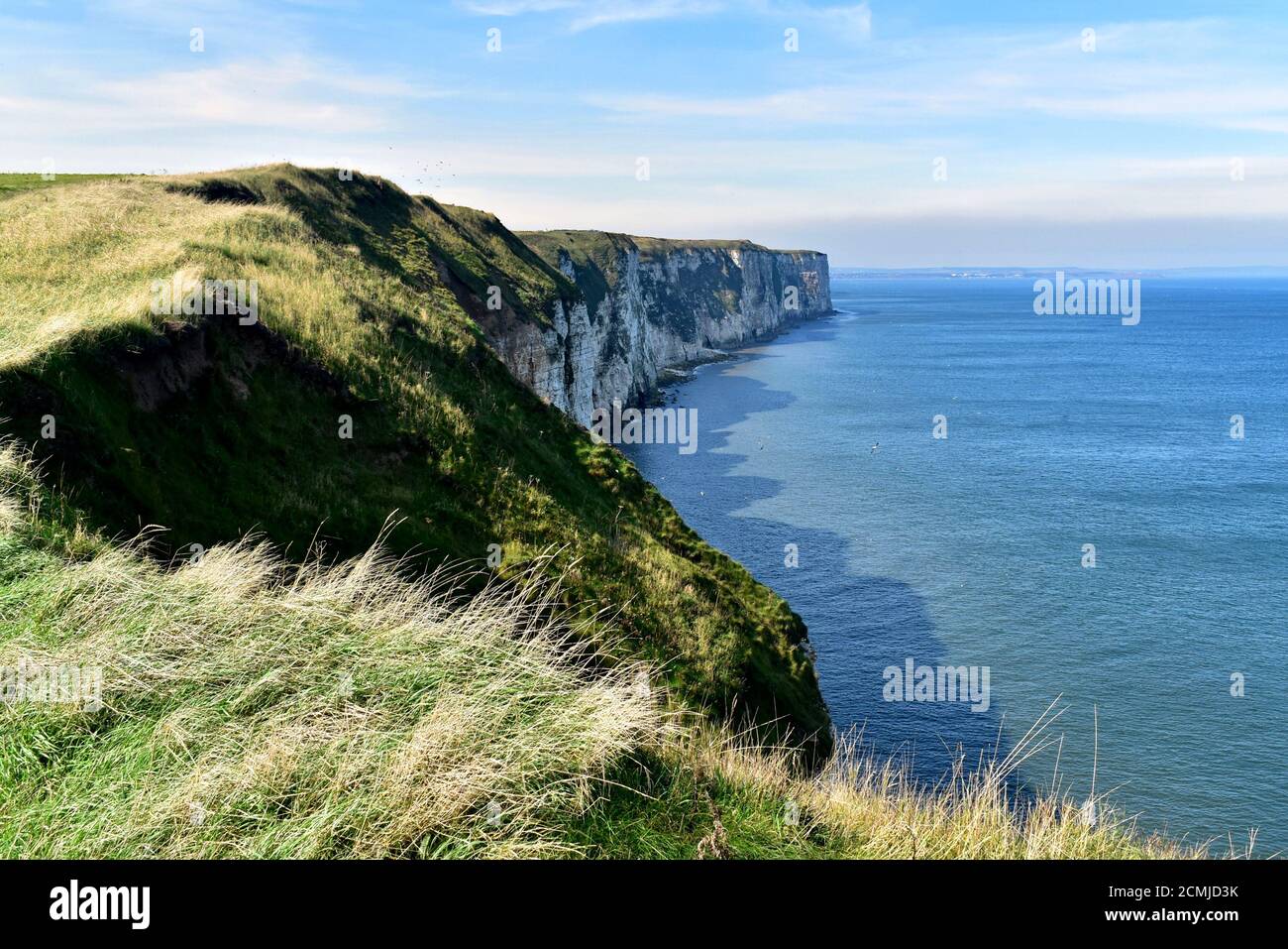 The chalk cliffs at Bempton. Stock Photo