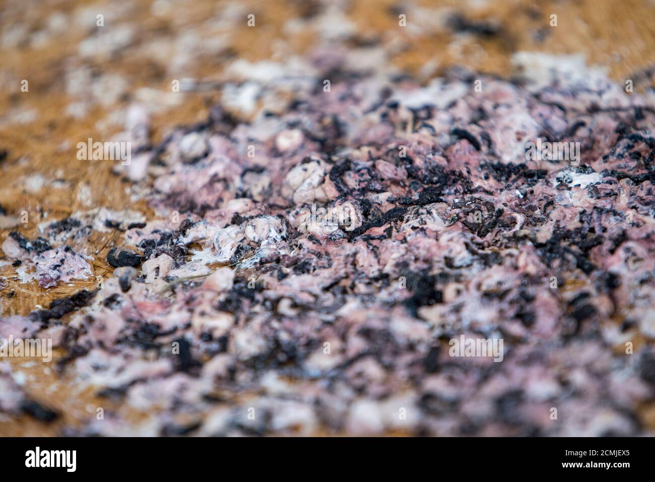 droppings from swallows on the floor by the house Stock Photo