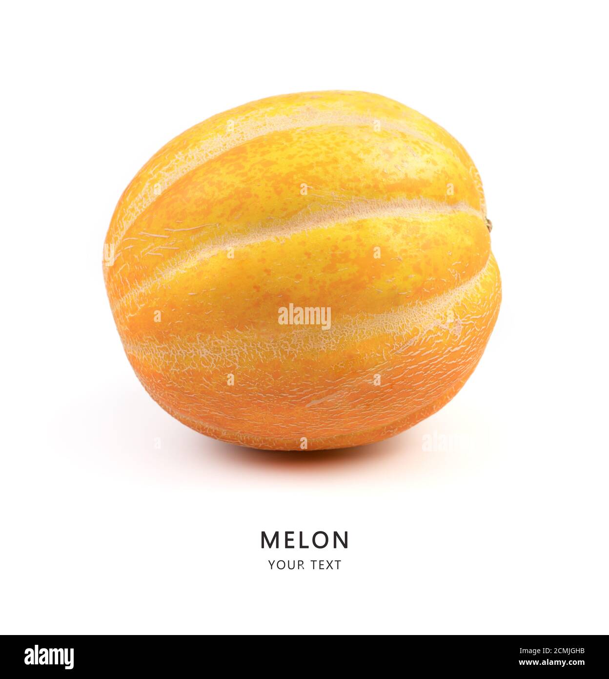 Ripe melon on a white background, side view. Fruit background with space to copy. Stock Photo