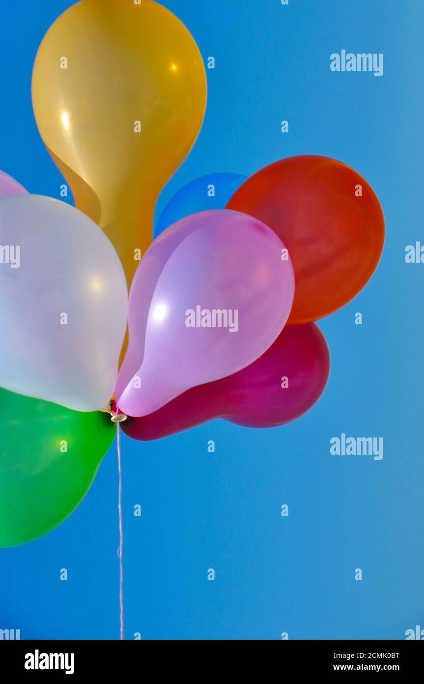 Multicolored rubber balloons Stock Photo Alamy