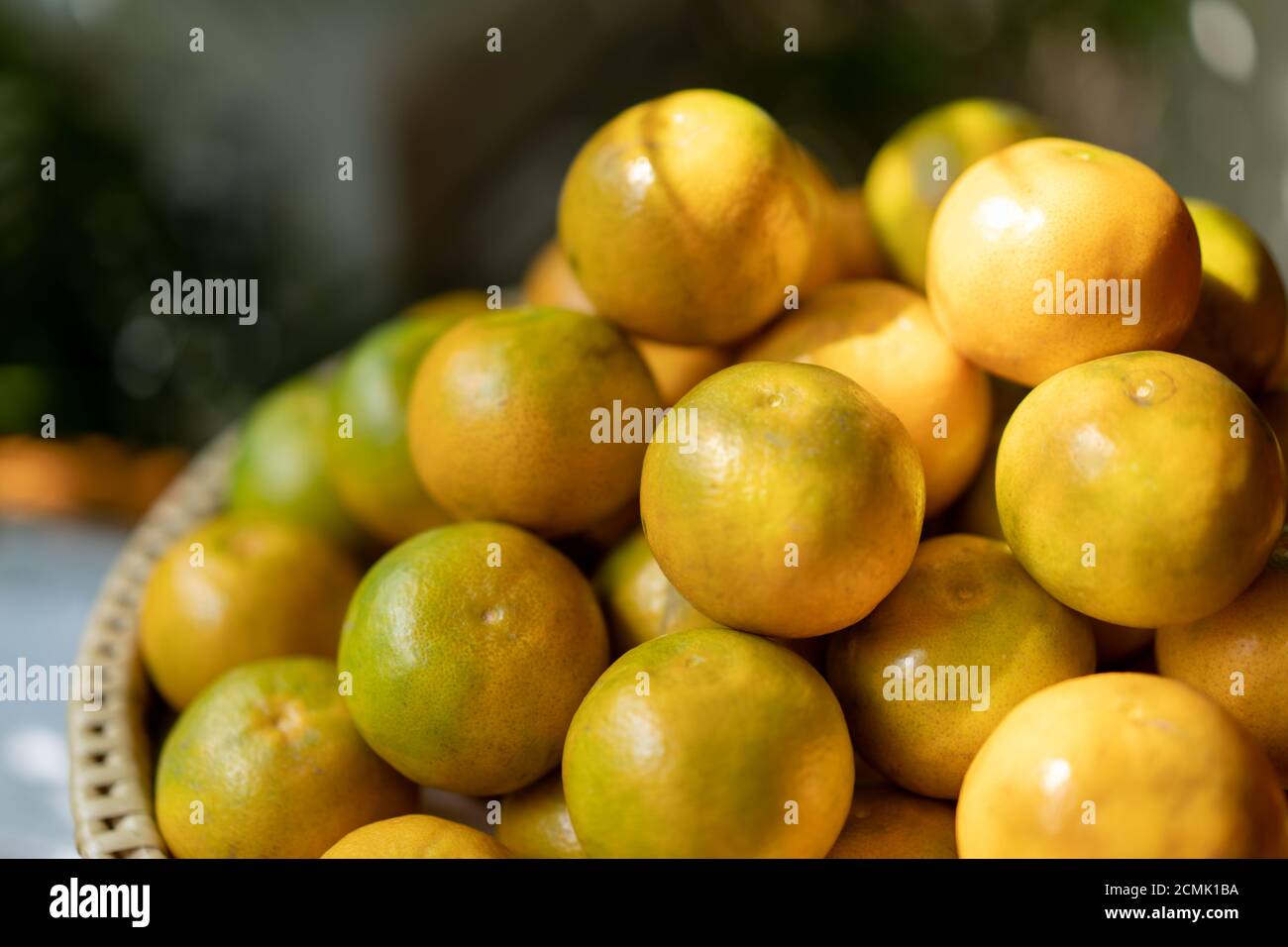 a pile of oranges, on a bamboo wicker plate in golden light on blur green nature background. Stock Photo