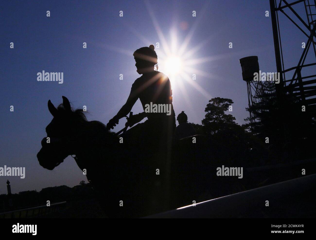 A horse and rider make their way to the track for early morning workout at Belmont Park in Elmont, New York, June 1, 2012.  REUTERS/Shannon Stapleton (UNITED STATES - Tags: SPORT HORSE RACING ANIMALS) Stock Photo
