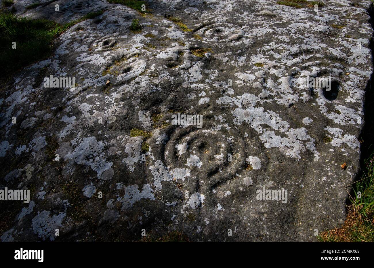 Cup and ring markings near Roughing Linn, near Ford in rural North Northumberland close to the Scottish border Stock Photo
