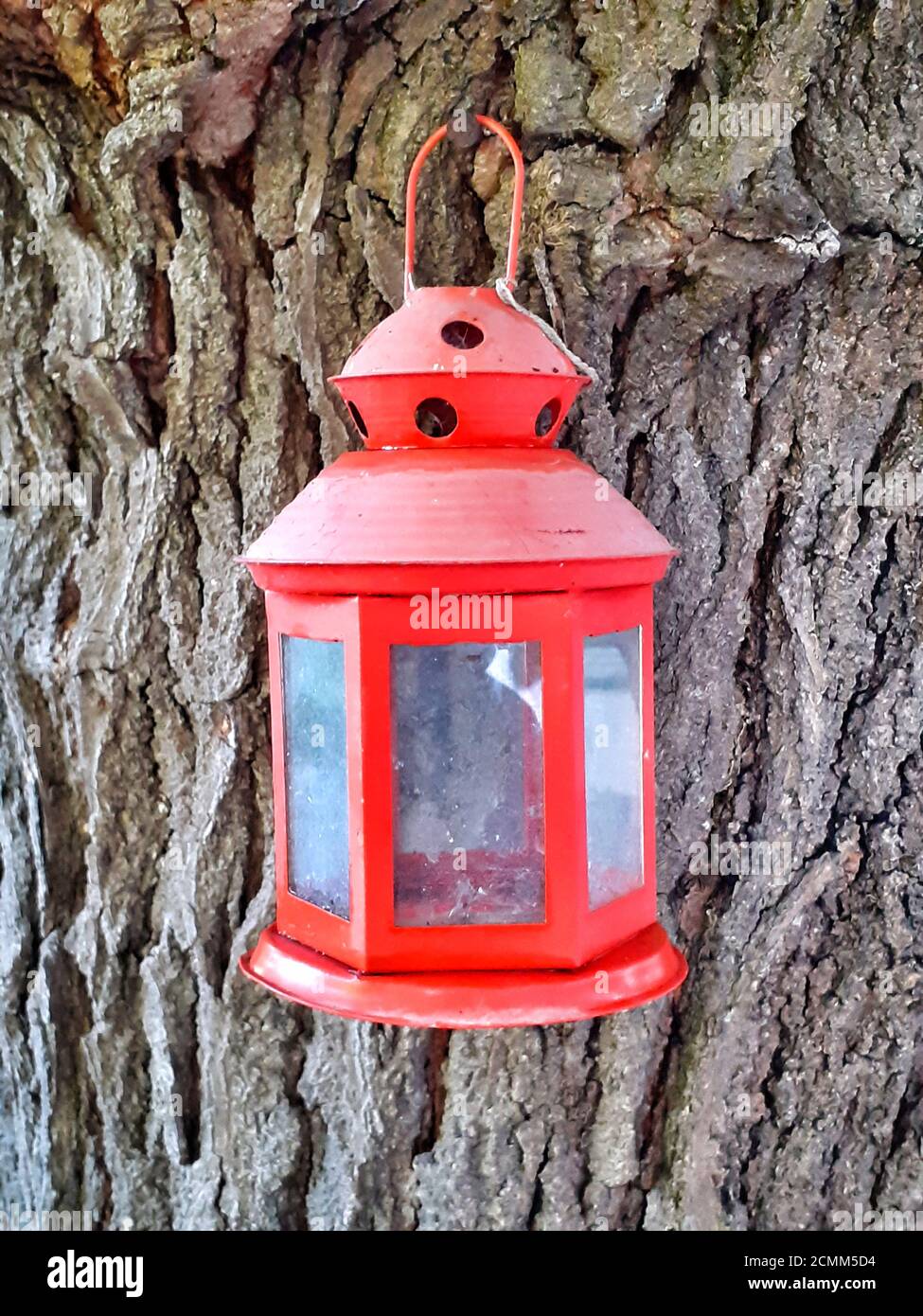 Old retro style lantern hanging on a tree. Stock Photo