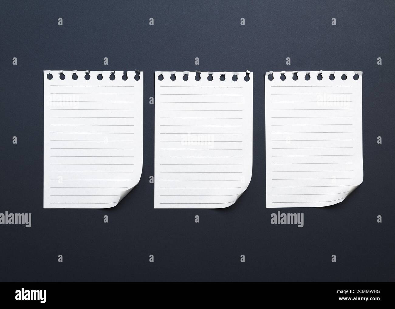 вырванный из блокнота. листочек из блокнота. вырванный из блокнота. лист блокнота с перфорацией. листочек из блокнота вырванный.