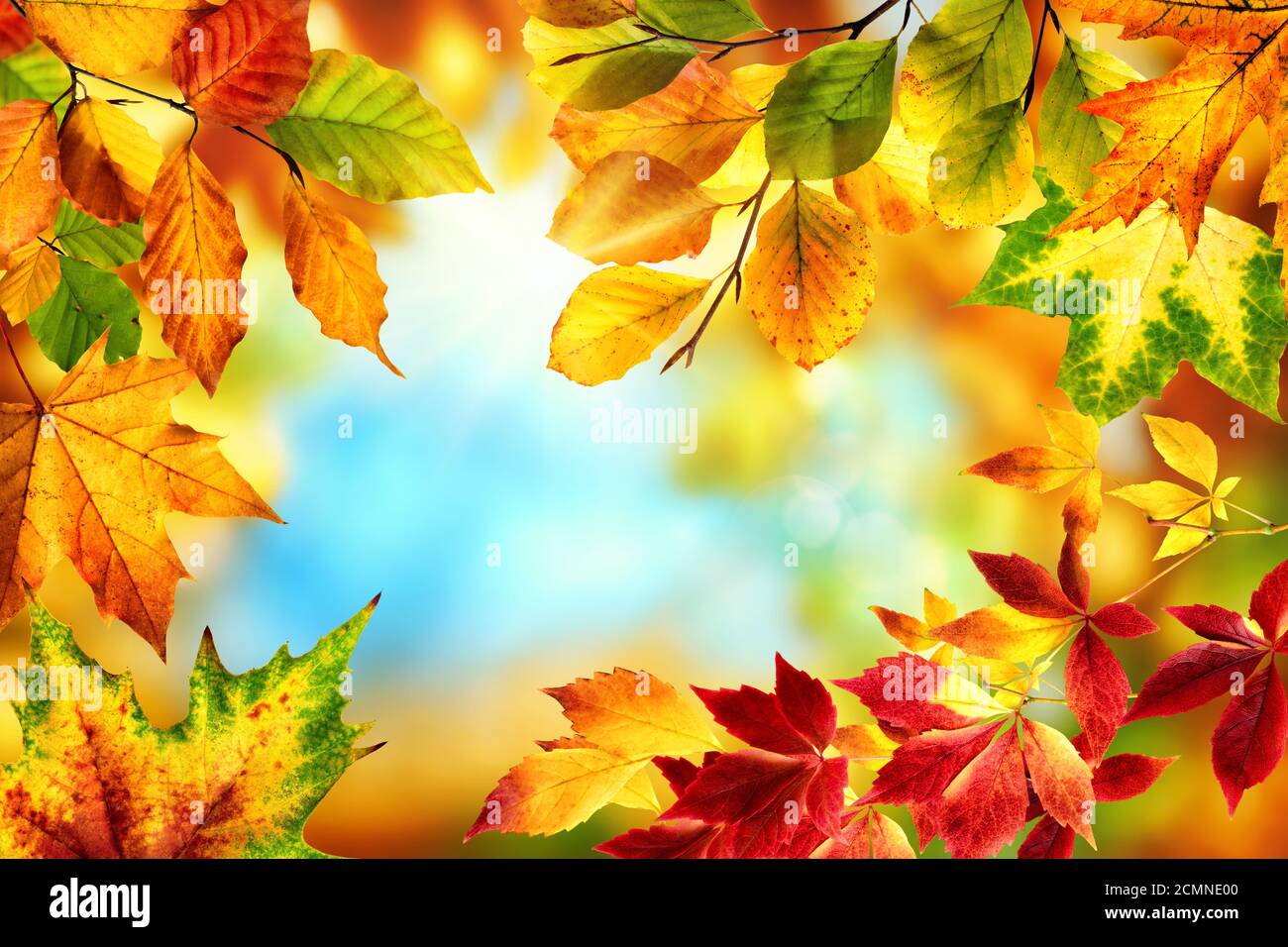 Nature frame with colorful autumn leaves in red, yellow and green around a nice abstract bokeh background with bright blue sky Stock Photo