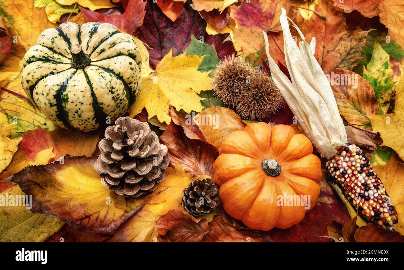 Autumn decoration arranged with natural items such as colorful dry leaves, chestnuts, ornamental pumpkins and cones Stock Photo